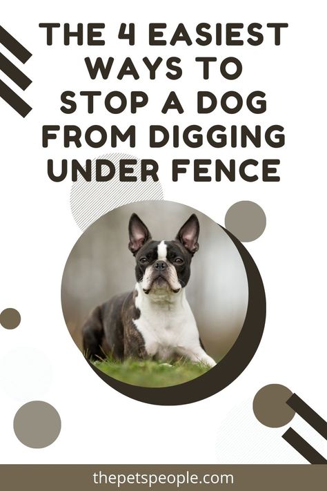 How To Keep Dogs From Digging Out Fence, Dog Proofing Fence, Stop Dog Digging Under Fence, Keep Dogs From Digging Under Fence, Dog Digging Under Fence, Garden In Yard, Dogs Digging Holes, Stop Dogs From Digging, Dog Digging