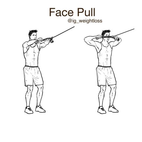 Primary muscle group: Shoulders Secondary: Middle & Lower Back / Lats ✊Equipment: Cable station Face Gym, Week Diet Plan, Face Pulls, Shoulder Workout, Muscle Groups, Stand Tall, Arm Workout, Weight Training, Lower Back