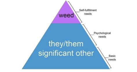 Needs Pyramid, Basic Needs, Trash Bin, Inside Jokes, Pyramid, Psychology, Pie Chart, Memes, Funny