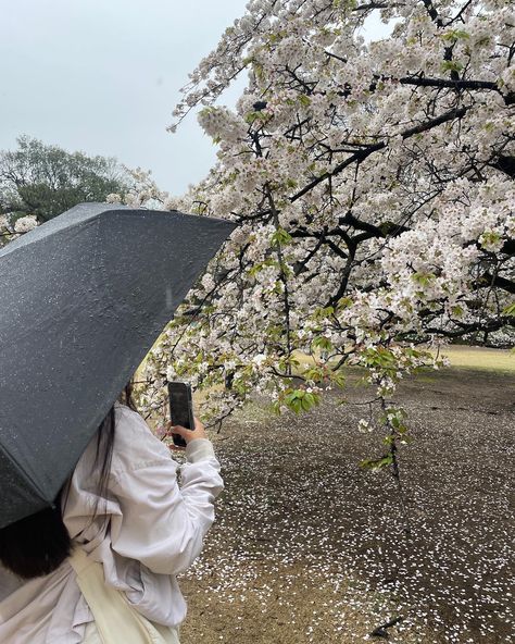 spring, sakura, flowers, cherry blossom, japan, nature, aesthetic, soft aesthetic, cozy, cute, photoinspo, photo inspiration Japan Nature Aesthetic, Cute Japanese Aesthetic, Japan Aesthetic Soft, Japon Aesthetic, Shoujo Life, Cherry Blossom Aesthetic, Flowers Cherry Blossom, Flower Core, Soft Vibe