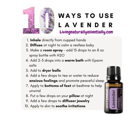 Doterra Lavender Uses, Lavender Doterra, Lavender Essential Oil Uses, Lavender Uses, Essential Oil Perfumes Recipes, Doterra Lavender, Perfume Recipes, Essential Oils Guide, Oil Well