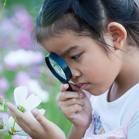 In this mini-lesson, students deepen their understanding of two foundational scientific practices: making observations and asking questions. Science Curriculum Elementary, Homeschool Science Curriculum, Mystery Science, Baby Pic, Kids Science, Kids Yoga, Asking Questions, Science Curriculum, School Garden