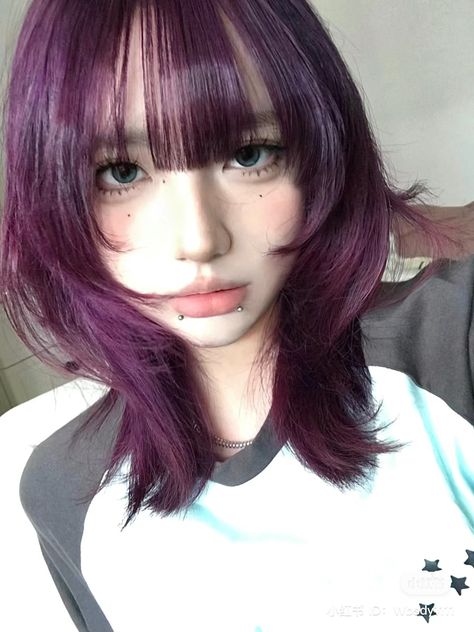 Lavender Highlights Short Hair, Purple Haircut, Japanese Hair Dye Ideas, Dark Lavender Hair Color, Purple Hair Korean, Purple To Black Hair, Hair Colors Dye, Korean Purple Hair, Dark Purple Hair With Bangs