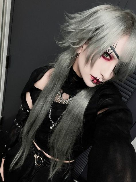 Long Grey Hair, Kei Visual, Haircuts For Long Hair, Hair Reference, Cut My Hair, Hair Inspo Color, Dream Hair, Long Hair Cuts, Grey Hair