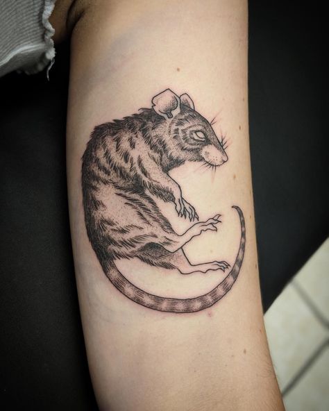 Rat Tattoo Blackwork, Rat Tattoo Traditional, Pigeon Tattoo, 2024 Tattoo, Rat Tattoo, Woodcut Tattoo, Rat King, Traditional Flash, Leg Sleeve