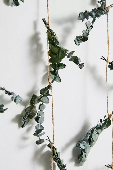 Eucalyptus Backdrop Wall Hanging | Urban Outfitters Canada Eucalyptus Backdrop, Eucalyptus Stems, Backdrop Wall, Eucalyptus Green, Dried Eucalyptus, Uo Home, Green Fits, Green Wall, Color Coding