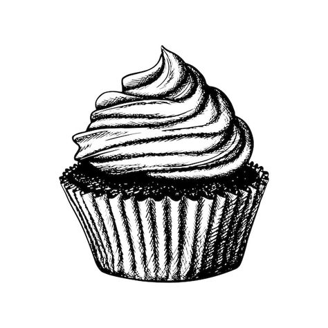 Cupcakes Vintage, Desserts Drawing, Cupcake Drawing, 3d Drawings, Chocolate Muffins, Dessert Cupcakes, Vector Hand, Chocolate Cupcakes, Drawing Challenge