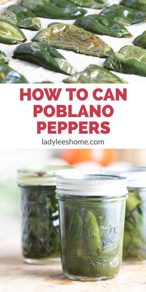 Canned Pablano Pepper, Canning Seranno Peppers, Pablano Pepper Canning, Preserve Poblano Peppers, How To Can Poblano Peppers, Poblano Pepper Canning Recipes, Drying Poblano Peppers, Pablano Pepper Freezing, Ancho Poblano Recipes