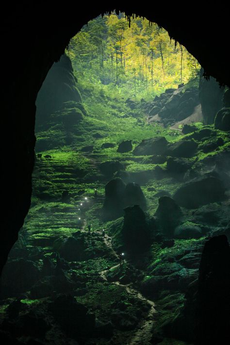 Forest Pics, Son Doong Cave, Cave In, Halong Bay, Vietnam Travel, Dream Decor, Nature Aesthetic, Magical Places, Pretty Places