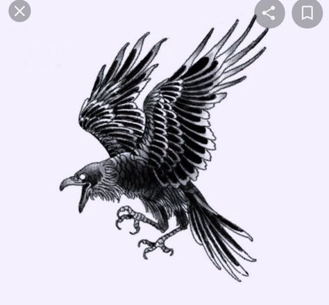 Odin's Ravens Tattoo, Crows Drawing, Crow Tattoo Design, Flying Tattoo, Insect Tattoo, Western Tattoos, Crow Tattoo, Norse Tattoo, Raven Tattoo