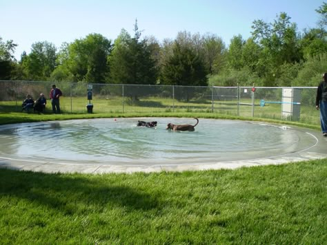 Kennel Plans, Kennel Design, Daily Timetable, Dog Boarding Ideas, Dog Pond, Boarding Kennels, Dog Boarding Facility, Dog Boarding Kennels, Dog Swimming Pools