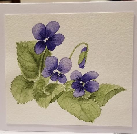 African Violet Painting, Purple Flower Drawings, Watercolour Violets, Draw Violets, Violet Flower Watercolor, Violet Drawing, Watercolor Violets, Violet Painting, Painted Violets