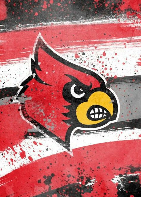 Cardinals Wallpaper, Cody Johnson, Louisville Cardinals, College Team, Football And Basketball, Poster Artwork, College Football, American Football, Cardinals