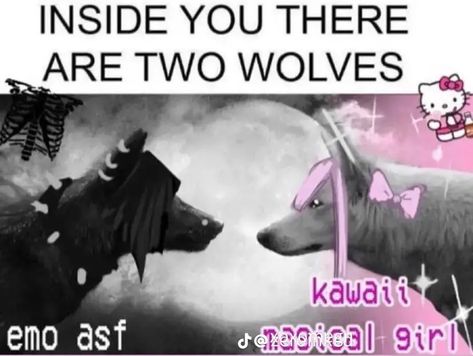 Alpha Quote, Kawaii Emo, Alpha Werewolf, Two Wolves, Scene Emo, Silly Images, Very Funny Pictures, Im Going Crazy, Silly Pictures