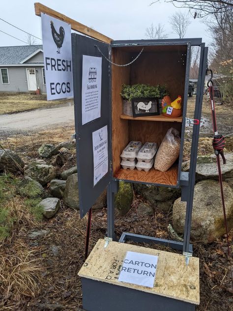 Chicken Display Ideas, Self Serve Farm Egg Stand, Chicken Stand Ideas, Chicken Egg Selling Stand, Roadside Chicken Egg Stand, Fresh Eggs Stand, Egg Selling Stand Diy, Self Service Egg Stand, Mini Farm Stand