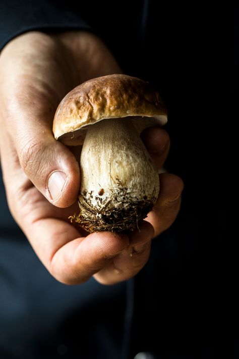 Beautiful Porcini Mushrooms. Inspired by so many wonderful fall ingredients. Mushroom Cottage, Dark Food Photography, Beautiful Food Photography, Porcini Mushrooms, Christmas Collectibles, Seasonal Ingredients, Wild Food, Simple Green, Seasonal Recipes