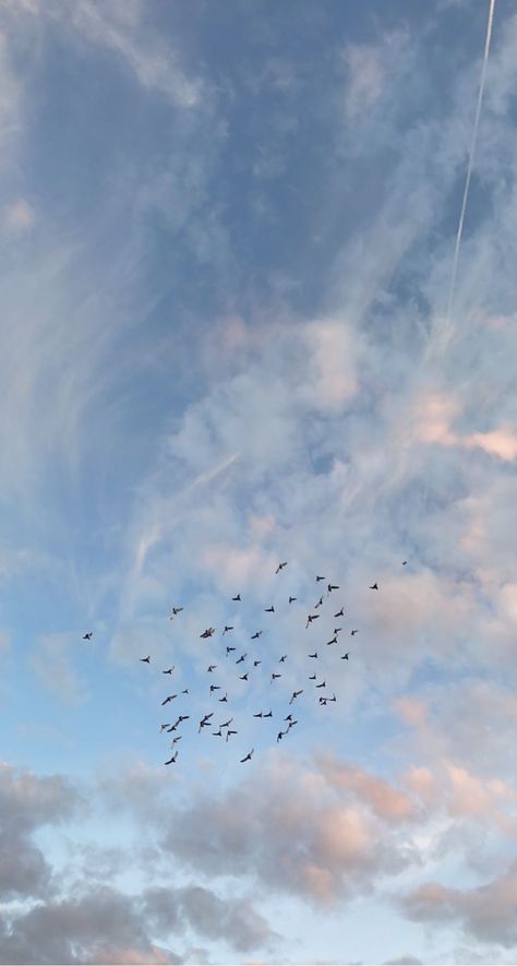 Pretty Sky Aesthetic Wallpaper, Selfie Background, Aesthetic Tumblr Backgrounds, Instagram Design Creative, Sky Photography Nature, Phone Wallpaper Boho, Tumblr Backgrounds, Birds In The Sky, Blog Pictures