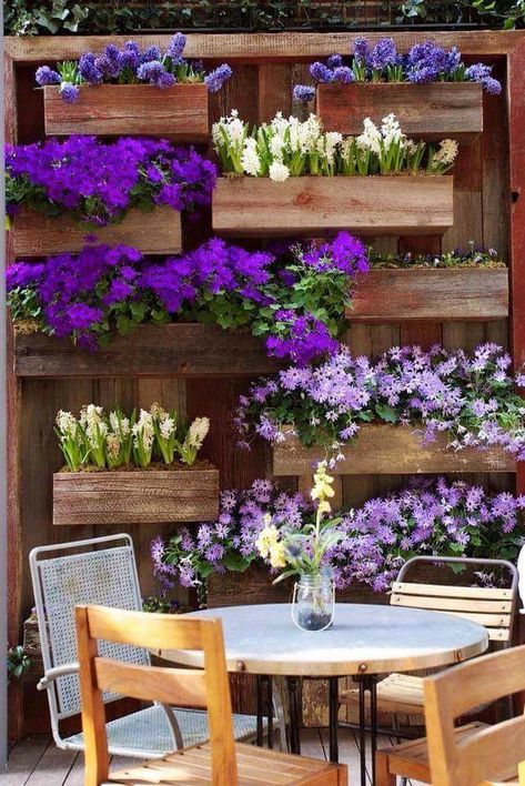 Small Backyards, Vertical Gardens, Have Inspiration, Hanging Garden, Glass Garden, Ideas Garden, Backyards, Small Backyard Landscaping, Small Gardens