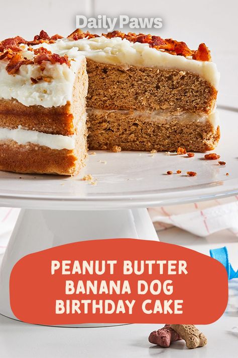 Celebrate National Dog Day with the perfect homemade peanut butter banana dog cake recipe! #petcare #pets #pethealth #healthypets #petnutrition #petdiet #kittenhealth #puppyhealth #nationaldogday #petfoodrecipes #dognutrition #dogfood #dogbirthday Peanut Butter Dog Birthday Cake, Peanut Butter Banana Cake For Dogs, Dog Cake Banana, Dog Cake Recipe Easy Peanut Butter And Banana, Banana Cake For Dogs, Peanut Butter Dog Cake Recipe, Dog Birthday Cake Pumpkin Peanut Butter, Peanut Butter Banana Dog Cake, Cake For Dogs Recipe Easy