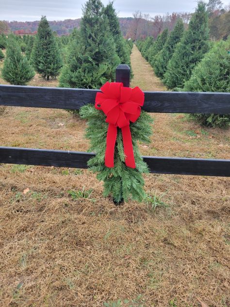 Hay Bale Decorating Ideas Christmas, Hay Bale Decorating Ideas, Reindeer Farm, Decorating Ideas Christmas, Mini Pony, Farm Business, Entry Ideas, Christmas Farm, Fence Post