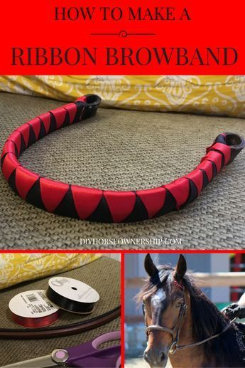 Do It Yourself DIY: How to Make a Ribbon Browband for your horse or mule. Easy to follow instructions with pictures. Brow Bands For Horses, Diy Horse Tack, Horse Projects, Horse Browband, Horses Stuff, Horse Tack Diy, Diy Horse, Horse Camp, Horse Costumes