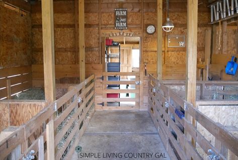 setting up a goat barn Goat Playground, Livestock Barn, Barn Layout, Goat Shelter, Goat Pen, Barn Stalls, Goat House, Goat Care, Goat Barn