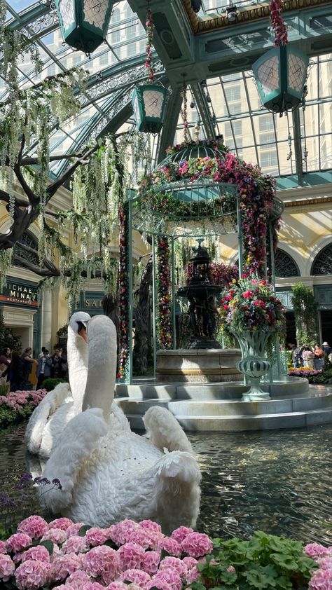 Bellagio Vegas, Bellagio Las Vegas, Vegas Birthday, Vacation Itinerary, Las Vegas Elopement, Las Vegas Hotels, Las Vegas Weddings, Vegas Wedding, Las Vegas Nevada