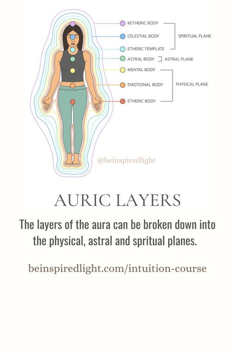 Here you can see the association between the chakras, auric layers and energetic bodies. Energetic Tattooing, Aura Layers, Aura Illustration, Aura Love, Aura Body, Healing Aura, Energy Science, Soul Retrieval, Psychic Healing