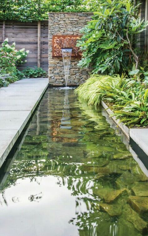 Modern Pond, Bali Garden, Kolam Koi, Garden Pond Design, Outdoor Water Features, Garden Water Feature, Courtyard Gardens Design, Garden Waterfall, Garden Courtyard