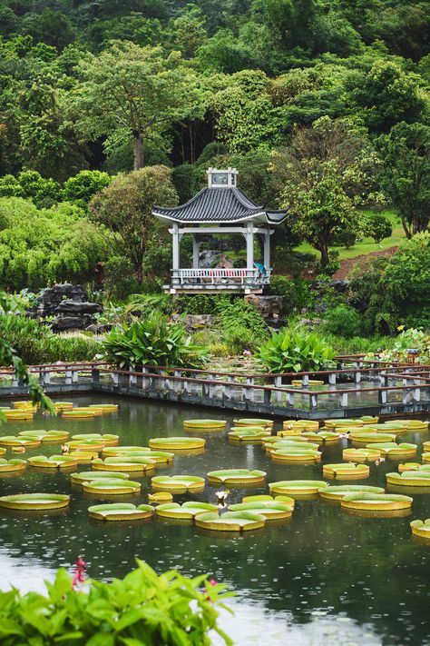 Qingxiu Mountain Park,it's green all the year around——the most beautiful park in Nanning,China. Garden Design Simple, China Destinations, Summer Places, China Trip, Nanning, China Culture, Zen Garden Design, Top Places To Travel, Mountain Park