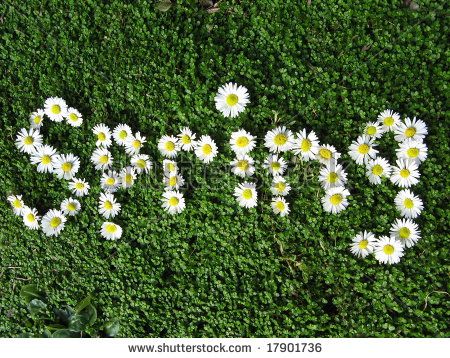 Google Image word-spring-written-with-daisies First Flowers Of Spring, Spring Writing, Florist Shop, Spring Fever, Vector Flowers, Welcome Spring, Spring Has Sprung, Spring Is Here, Spring Inspiration