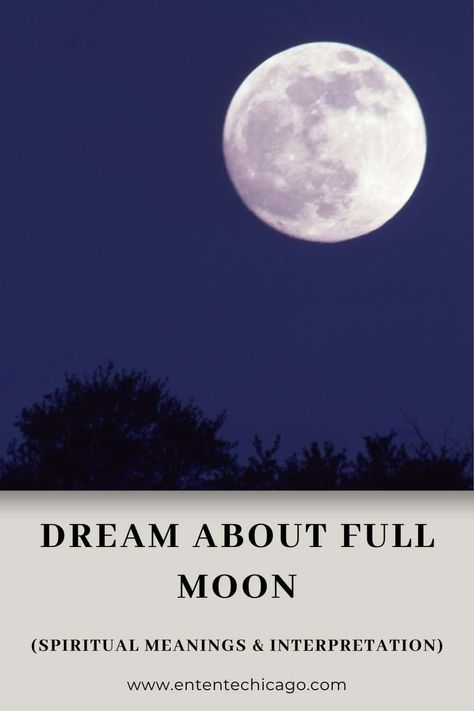 Dream About Full Moon (Spiritual Meanings & Interpretation) Full Moon Spiritual, Full Moon Meaning, Moon Spiritual, Magic Portal, Moon Meaning, Big Moon, Orange Moon, Beyond The Horizon, Dream Meanings