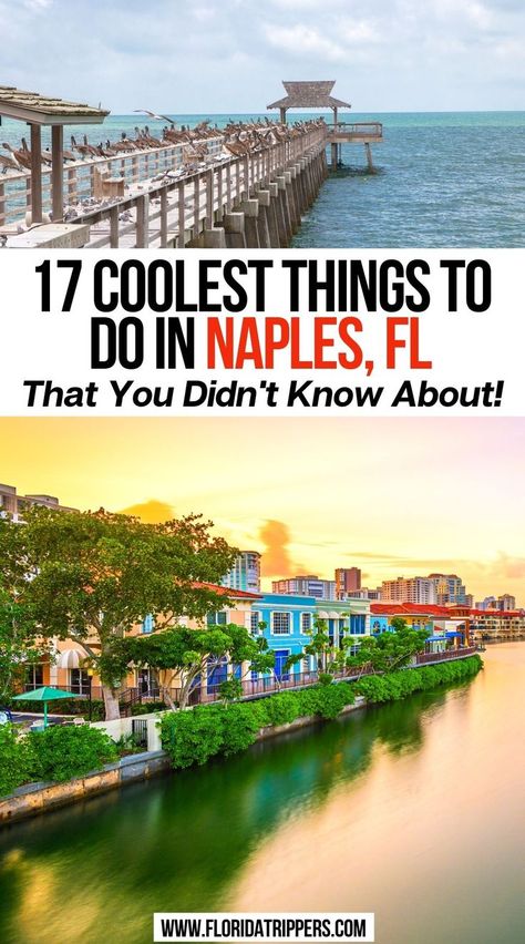 17 Coolest Things To Do In Naples, FL That You Didn't Know About! Bucket List Florida, Naples Travel, Florida Bucket List, Florida With Kids, Florida Naples, Things To Do In Naples, Florida Vacation Spots, Fl Beaches, Naples Beach