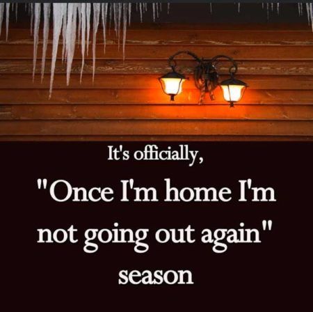 Winter Humor, Hate Winter, Drunk Woman, Winter Quotes, Teacher Memes, Memes Of The Day, Sunday Quotes, Funny Meme, Christmas Quotes