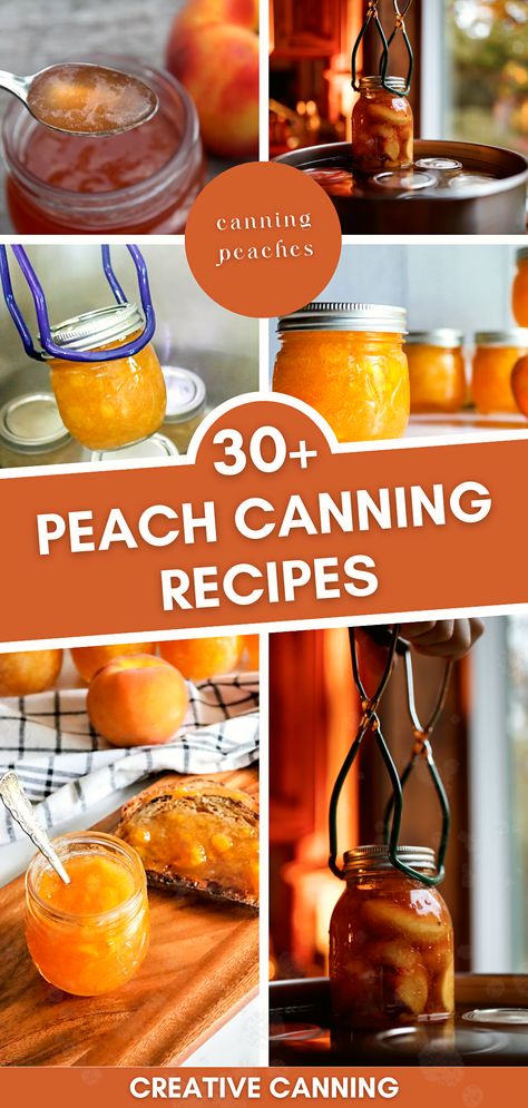 Dive into a collection of over 30 peach canning recipes that range from the classic to the unique. Discover how to can peaches in light syrup, can peach pie filling, and create a tangy peach salsa. Whether you're a beginner or a seasoned canner, this guide to canning fruit in jars using a water bath canner is a treasure trove of sweet and savory delights. Canning Recipes With Peaches, Canning Recipes For Peaches, Preserving Peaches Recipes, Peach Canned Recipes, Peach Canning, Peach Recipes For Canning, Canned Peach Pie Filling, How To Can Peaches, Can Peaches