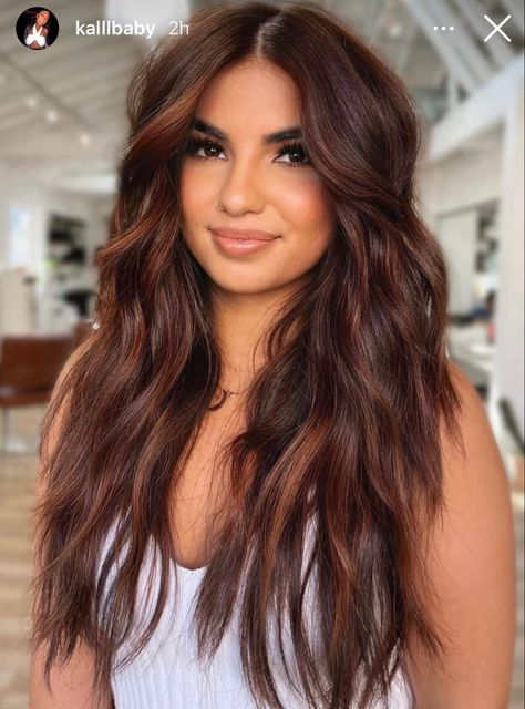 Summer Highlights For Dark Brown Hair, Brown Summer Hair, Rambut Brunette, Warm Brunette, Rich Brunette, 2023 Hair, Color For Brunettes, Hair Color For Brunettes, Brown Hair Color