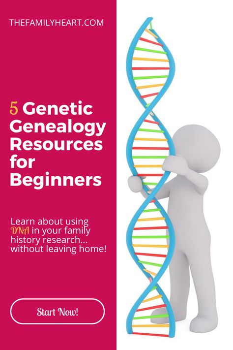 Science Genetics, Italian Genealogy, Non Mendelian Genetics, Fruit Mojito, Dna Genetics, Ancestry.com Dna Kit, Dna Technology, Genetic Genealogy, Facial Reconstruction