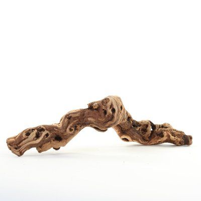 Koyal Wholesale Natural Tumbled Grapewood Branch Sculpture Size: 18" W Branches Table Decor, Branch Sculpture, Grapewood Branch, Reptile Decor, Dry Branch, Console Table Styling, Cement Mixer, Reptile Enclosure, Wood Pieces