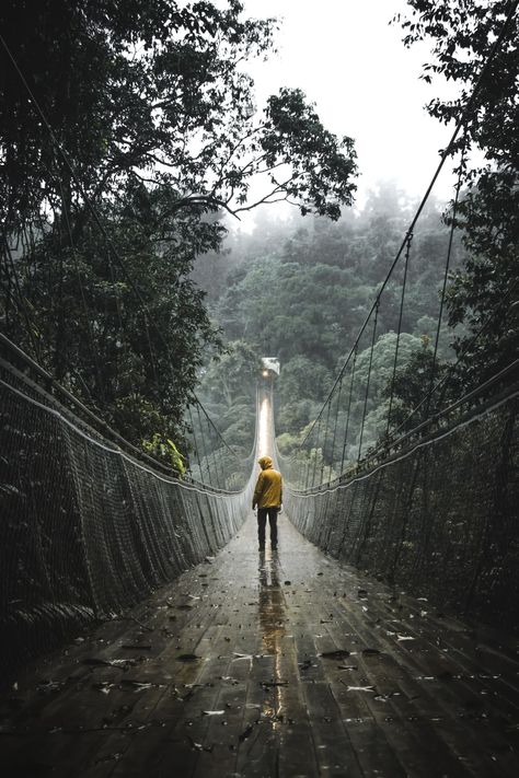 Thanks to Edho Fitrah for making this photo available freely on @unsplash 🎁 Foggy Nature, Richest Actors, Musician Photography, Hollywood Songs, Bridge Over Troubled Water, Bridge Photography, Paul Simon, West Java, Covered Bridges