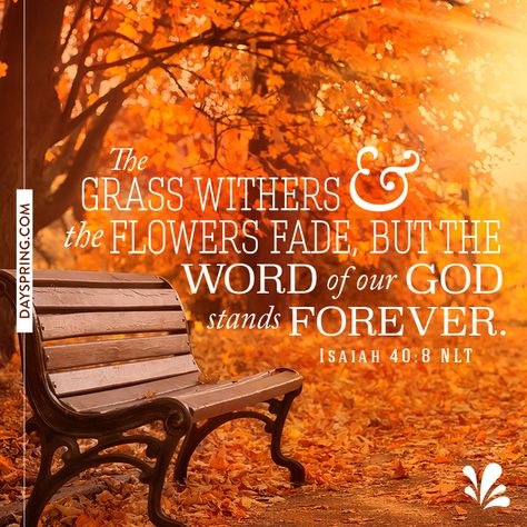 Fall Ecards | DaySpring Fall Bible Verses, Christian Fall, Thanksgiving Prayer, Thanksgiving Quotes, Autumn Quotes, Favorite Bible Verses, Fall Pictures, Fall Wallpaper, Spiritual Inspiration