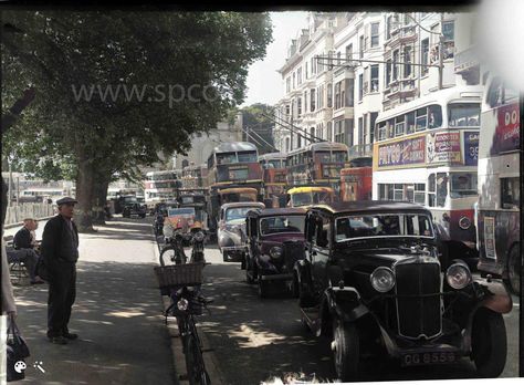 'Trolley buses could speed up Brighton hills with ease' | The Argus Brighton Sussex, Brighton And Hove, June 30, East Sussex, Buses, Speed Up, Brighton, History, Vehicles