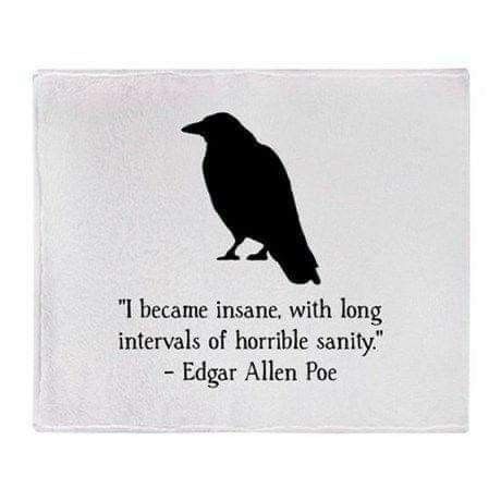 Edgar Allen Poe Quotes, Inspirational Poetry Quotes, Edgar Allan Poe Quote, Poe Quotes, Quotes Dream, Allen Poe, Edgar Allen Poe, Literature Quotes, Robert Kiyosaki