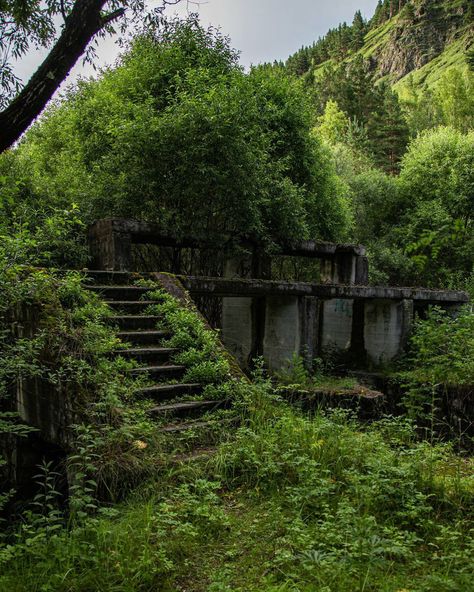 Aesthetic Environment, Apocalypse World, Apocalypse Aesthetic, Aesthetic Nature, Abandoned Buildings, City Aesthetic, Nature Aesthetic, Pretty Places, End Of The World