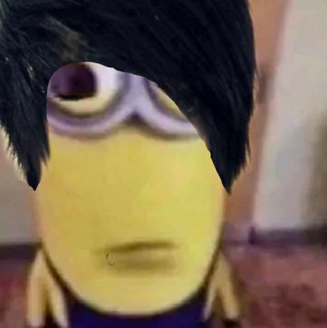 Minion Memes Face, Goofy Widget, Beautiful Reaction Pic, Minion Emo, Reaction Pics Disgusted, Emo Minion, Animal Reaction Pics, Weird Reaction Pics, Brainrot Pfp