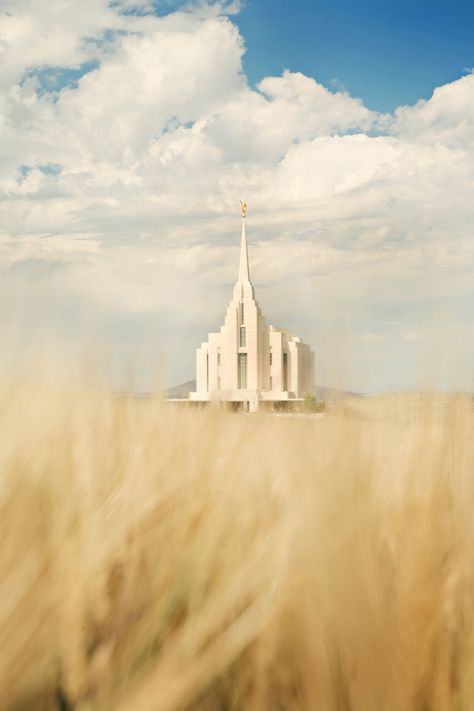 The entire Rexburg Idaho Temple, including a wheat field. Rexburg Temple, Lds Temple Pictures, Later Day Saints, Rexburg Idaho, Mormon Temples, Temple Photography, Church Pictures, Temple Pictures, Lds Art