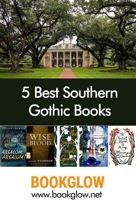 Best Gothic Novels, Southern Gothic Books, Southern Gothic Literature, Southern Fiction, Book Hoarder, All About Books, Book Tasting, Gothic Literature, Inspirational Readings