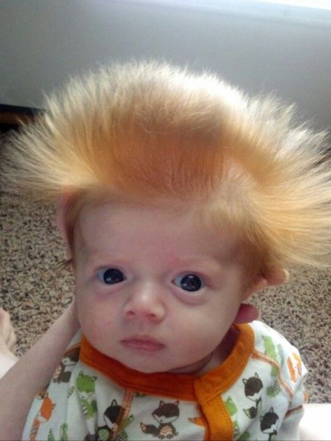 Funny Baby Pictures, Chia Pet, Baby Faces, Foto Baby, Baby Gif, Funny Babies, Baby Pictures