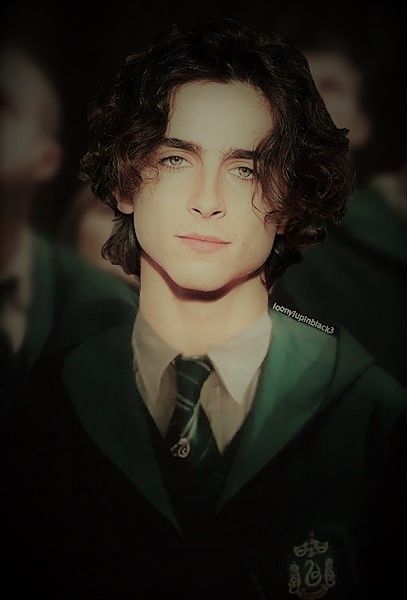 Regulus Acturus Black, Slytherin Funny, Slytherin Wallpaper, Harry Potter Oc, Welcome To Hogwarts, Slytherin Aesthetic, Regulus Black, So Satisfying, Hogwarts School