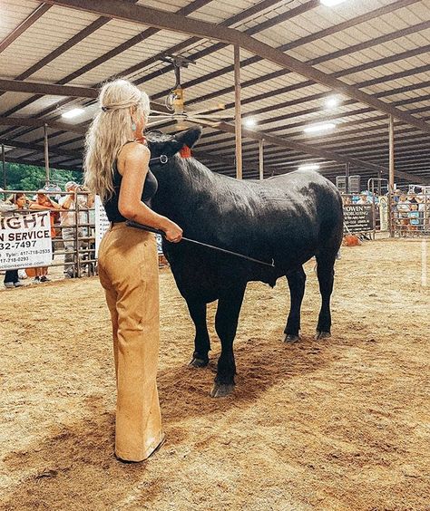 Showing Hairstyles Livestock, Cattle Showing Outfits, Show Cattle Outfits, Livestock Judge Outfits, Show Ring Outfits Livestock, Show Outfits Livestock, Sheep Showing Outfits, Showing Livestock Outfits, Livestock Show Outfits Cattle