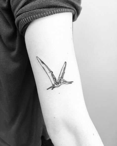 Pterodactyl tattoo inked on the left arm by Jake Harry Ditchfield Pterodactyl Tattoo, Dinosaur Tattoo Ideas, Cute Pterodactyl, Related Tattoos, Dinosaur Tattoo, Tattoo Cute, Dinosaur Tattoos, Arm Tattoos, Tattoo Outline